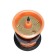 Lyman Twin Tumbler 115v (LY7631327)
